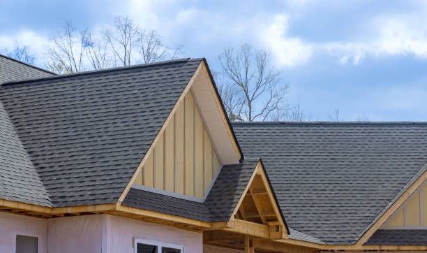 Best Asphalt Shingle Roofing  in Callaway, FL